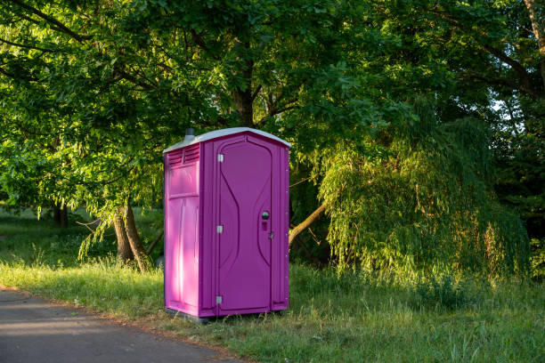 Best Local porta potty services  in Pleasant View, UT